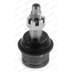 Šarnyras
MOOG CH-BJ-17271, MOOG, CH-BJ-17271, auto detalė