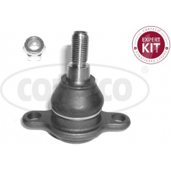 Šarnyras
                                CORTECO                                49399739, CORTECO, 49399739, auto detalė