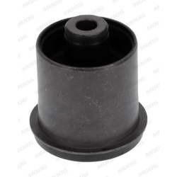 stebulės laikiklio įvorė
                                MOOG                                                CH-SB-14984, 