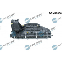 įsiurbimo kolektoriaus modulis
                                Dr.Motor Automotive                                          