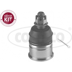 Šarnyras
                                CORTECO                                                49399651, CORTECO, 49399651,