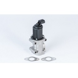 ERG vožtuvas
                                BorgWarner (Wahler)                                                710952R, Bor