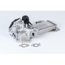 ERG vožtuvas
                                BorgWarner (Wahler)                                710946R, BorgWarner (Wahler)