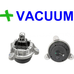 Pagalvė variklio
                                CORTECO                                                80004460, CORTECO, 8