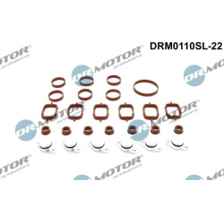 remonto komplektas, įsiurbimo kolektoriaus modulis
                                Dr.Motor Automotive                      