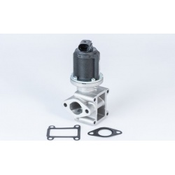 ERG vožtuvas
                                BorgWarner (Wahler)                                                710837D, Bor