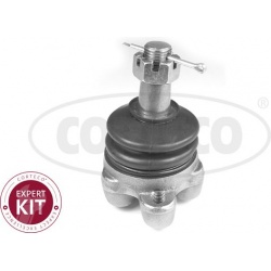 Šarnyras
                                CORTECO                                                49395795, CORTECO, 49395795,