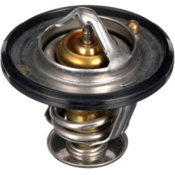 termostatas, aušinimo skystis
                                GATES                                                TH56189G1
