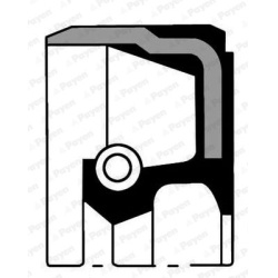 veleno sandariklis, alkūninis velenas
                                PAYEN                                                N