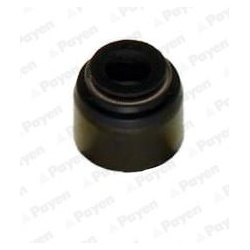 tarpiklis, vožtuvo šerdis
                                PAYEN                                                PA6055, Nenu