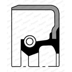 veleno sandariklis, alkūninis velenas
                                PAYEN                                NA5140, Nenurodyt