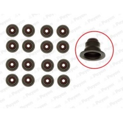 tarpiklių komplektas, vožtuvo šerdis
                                PAYEN                                                