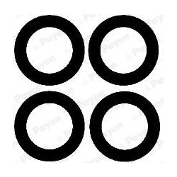 tarpiklių rinkinys, įsiurbimo kolektorius
                                PAYEN                                            