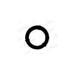 tarpiklis, svirties dangtis
                                PAYEN                                                JN830, Nenur