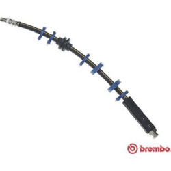 stabdžių žarnelė ESSENTIAL LINE
                                BREMBO                                                T23