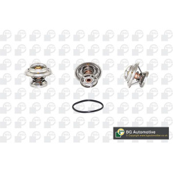 termostatas, aušinimo skystis
                                BGA                                                CT5288K, BG