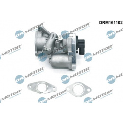 ERG vožtuvas
                                Dr.Motor Automotive                                                DRM161102, D