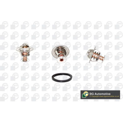 termostatas, aušinimo skystis
                                BGA                                                CT5396K, BG