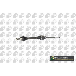 pusašis
                                BGA                                DS6726RA, BGA, DS6726RA, auto detalė