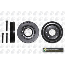 alkūninio veleno skriemulių rinkinys
                                BGA                                                DP1