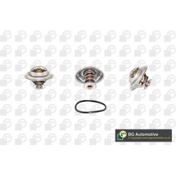 termostatas, aušinimo skystis
                                BGA                                                CT5294, BGA