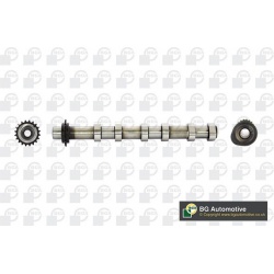 skirstomasis velenas
                                BGA                                                CS4200, BGA, CS4200, 