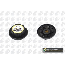dangtelis, radiatorius
                                BGA                                                CC4200, BGA, CC4200