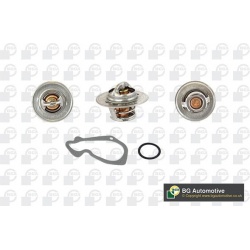 termostatas, aušinimo skystis
                                BGA                                                CT5411K, BG