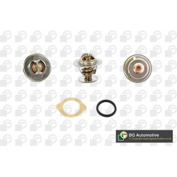 termostatas, aušinimo skystis
                                BGA                                                CT5476K, BG