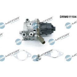 ERG vožtuvas
                                Dr.Motor Automotive                                                DRM611104, D