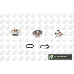termostatas, aušinimo skystis
                                BGA                                CT5349K, BGA, CT5349K, auto
