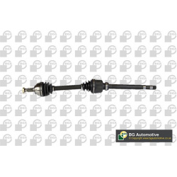 BGA                                                DS1401R, BGA, DS1401R, auto detalė