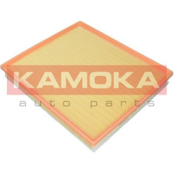 Filtras oro
                                KAMOKA                                F243201, KAMOKA, F243201, auto detalė