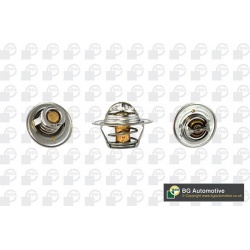termostatas, aušinimo skystis
                                BGA                                                CT5516, BGA