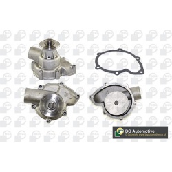 Vandens siurblys, variklio aušinimas
                                BGA                                                CP22