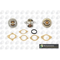 termostatas, aušinimo skystis
                                BGA                                                CT5474K, BG