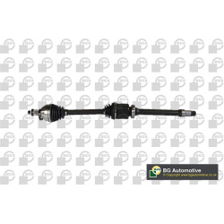 BGA                                                DS2334R, BGA, DS2334R, auto detalė