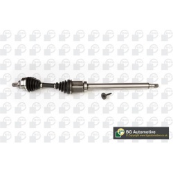 pusašis
                                BGA                                                DS9716R, BGA, DS9716R, auto detal