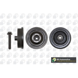 alkūninio veleno skriemulių rinkinys
                                BGA                                                DP0