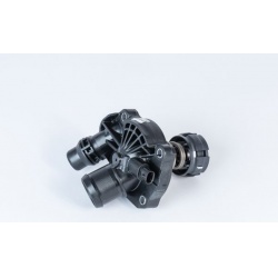 termostatas, aušinimo skystis
                                BorgWarner (Wahler)                                           