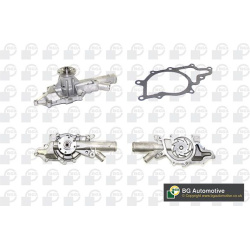 Vandens siurblys, variklio aušinimas
                                BGA                                                CP42