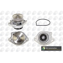Vandens siurblys, variklio aušinimas
                                BGA                                CP3164, BGA, CP3164,