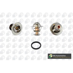 termostatas, aušinimo skystis
                                BGA                                                CT5571, BGA
