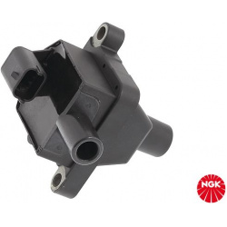 ritė, uždegimas
                                NGK                                U4007, NGK, U4007, auto detalė