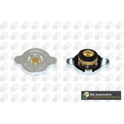 dangtelis, radiatorius
                                BGA                                CC3014, BGA, CC3014, auto detalė