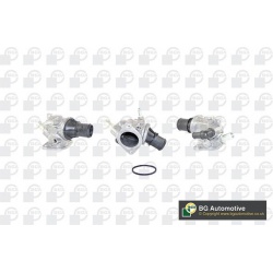 termostatas, aušinimo skystis
                                BGA                                                CT5118, BGA