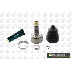 pusašio šarnyras
                                BGA                                                CV2509A, BGA, CV2509A, 