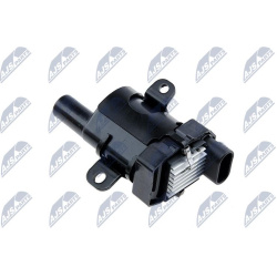 ritė, uždegimas
                                NTY                                                ECZ-CH-029, NTY, ECZ-CH-