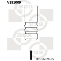 įsiurbimo vožtuvas
                                BGA                                                V181009, BGA, V181009