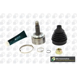 pusašio šarnyras
                                BGA                                                CV2503A, BGA, CV2503A, 